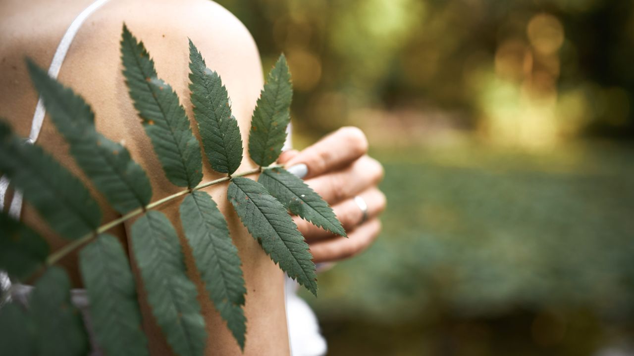 Naturopatia: A natureza em favor da saúde