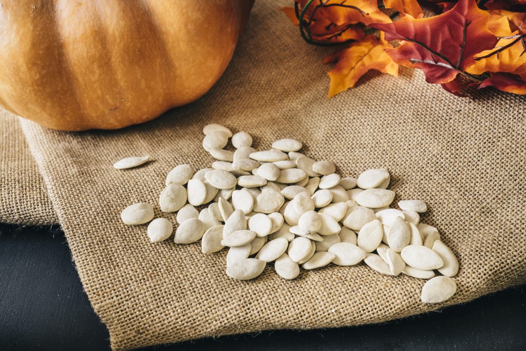 nut autumn concept