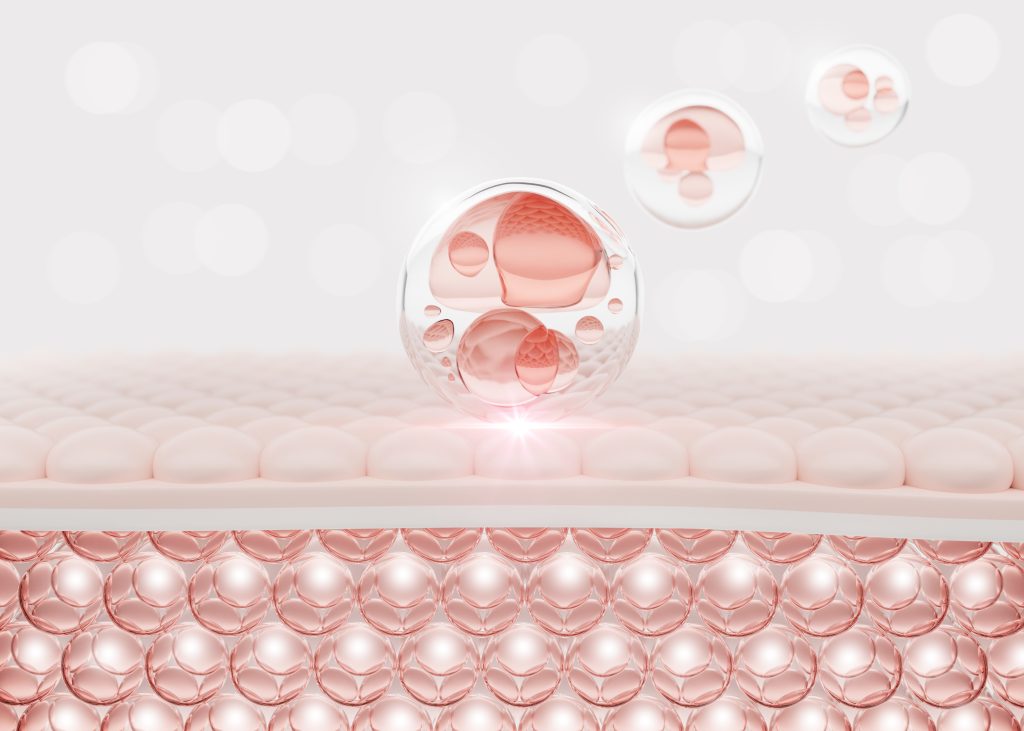 skin rejuvenation skin layer skin cell serum oil drop acne skin cell moisturizer